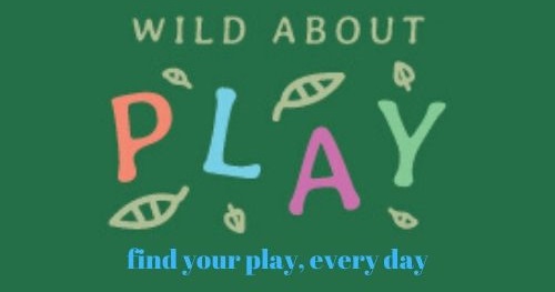 LOGO: Wild About Play - Find your play, every day